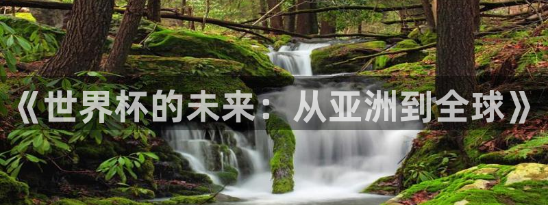 世界杯在线直播:《世界杯的未来:从亚洲到全球》