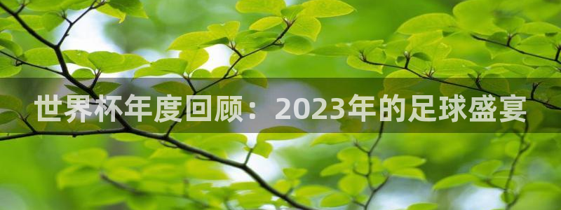 世界杯球队:世界杯年度回顾:2023年的足球盛宴
