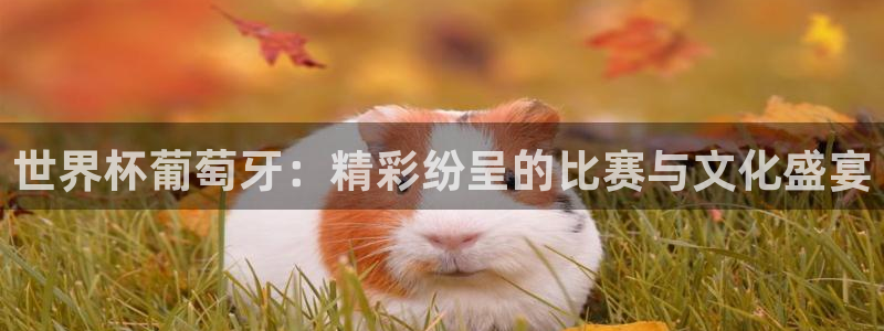 世界杯对阵图2026:世界杯葡萄牙:精彩纷呈的比赛与文化盛宴
