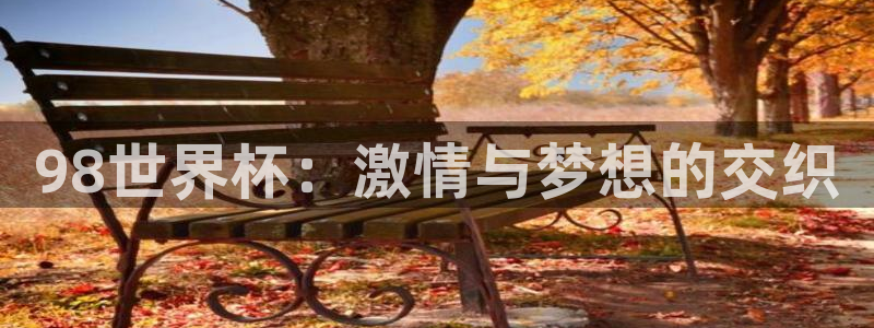 世预赛直播:98世界杯:激情与梦想的交织