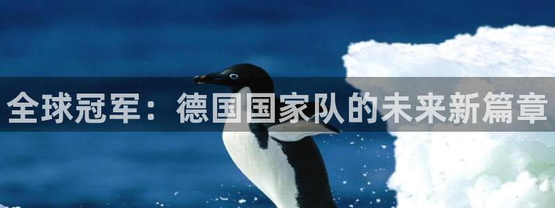 欧洲世预赛赛程表:全球冠军:德国国家队的未来新篇章