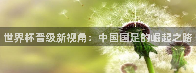 世界杯欧洲预选赛:世界杯晋级新视角:中国国足的崛起之路