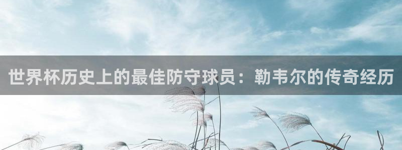 2026世界杯赛程时间表最新:世界杯历史上的最佳防守球员:勒韦尔的传奇经历