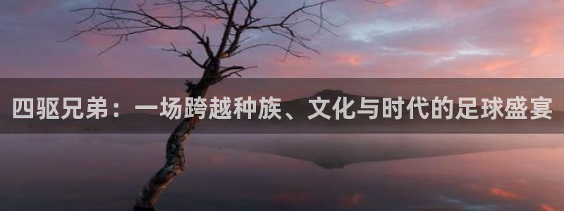 美洲杯直播:四驱兄弟:一场跨越种族、文化与时代的足球盛宴